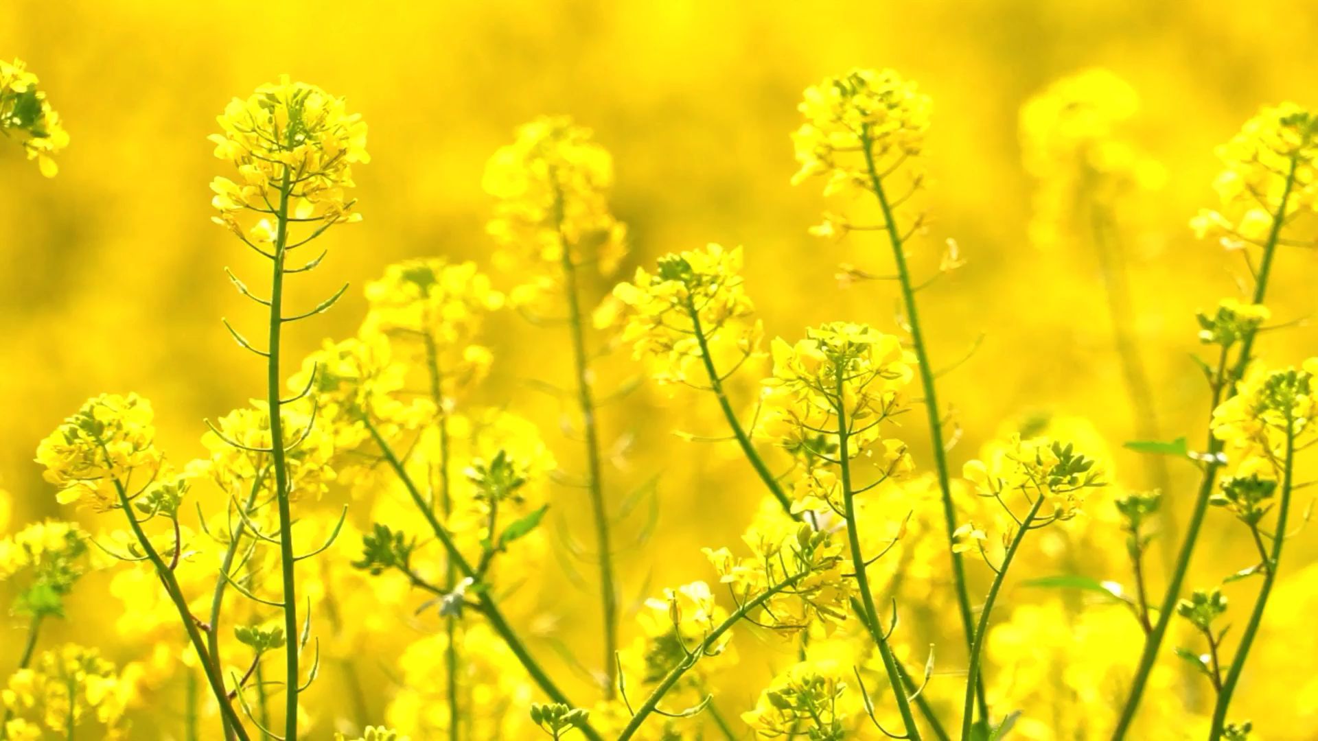 高情商聊天术(34)