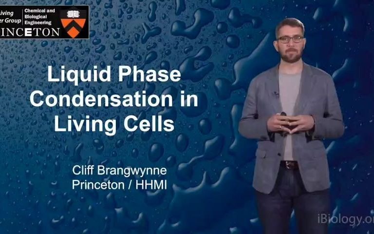 [图]相分离（Phase Separation）的基本概念和原理