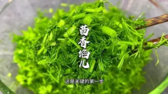 Tải video: 爱吃茴香馅儿，可千万不要乱放调料，拌馅也很讲究，翠绿新鲜多汁