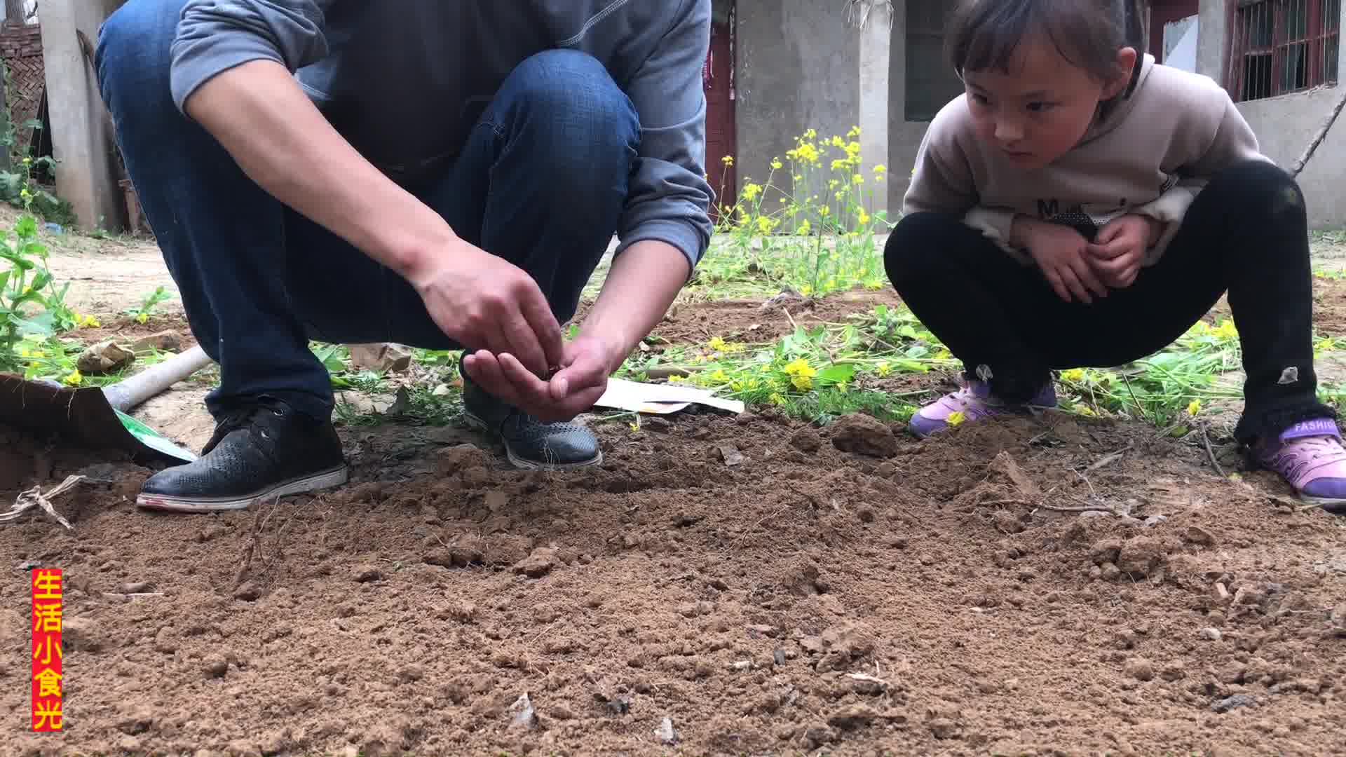 [图]种瓜得瓜种豆得豆，今天深有体会，一分耕耘一份收获呀