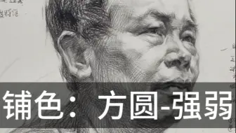 素描头像铺色关系