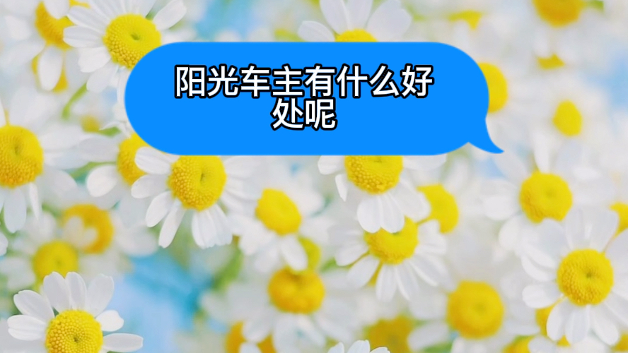 哈尔滨网约车跑哪个比较好呢?私家车可以跑阳光出行吗?哔哩哔哩bilibili