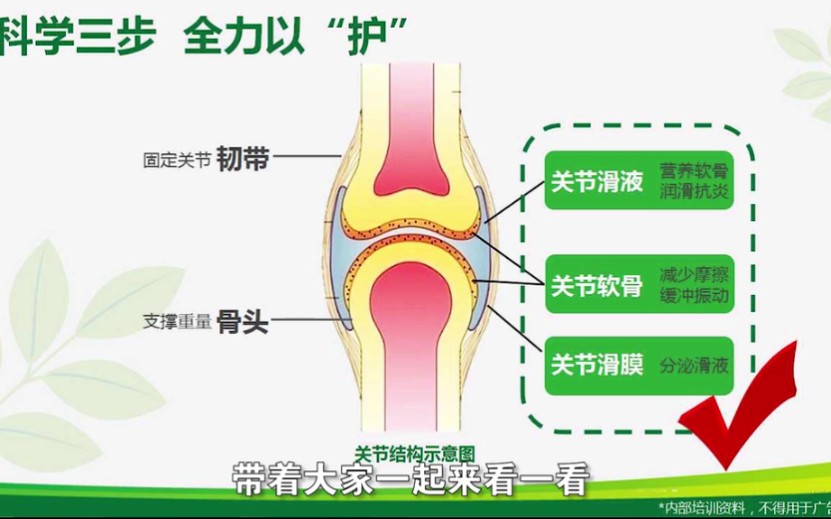 葡萄糖胺维骨素哔哩哔哩bilibili