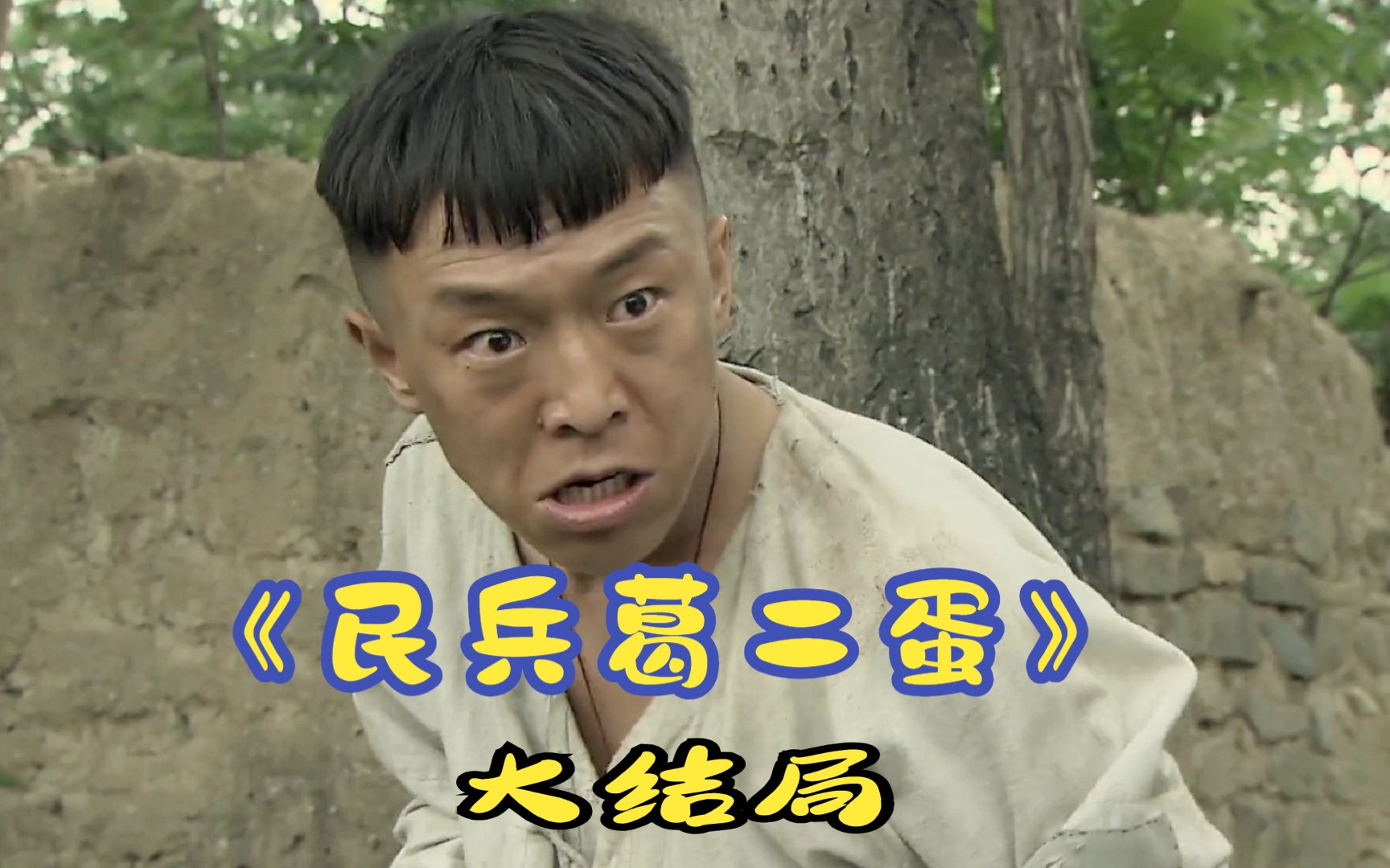 《民兵葛二蛋》一介草民的抗战往事!