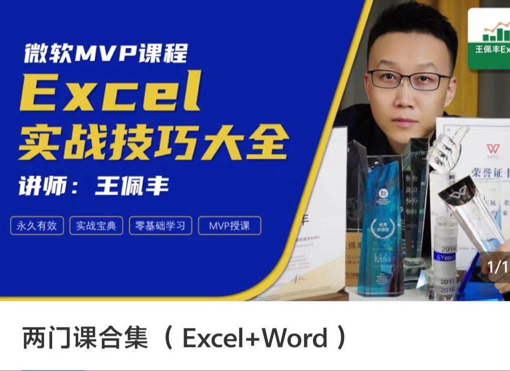 [图]王佩丰新版excel办公技能视频