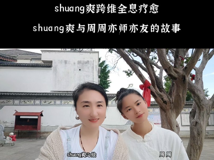 一、shuang爽深层性格解析二、shuang爽心理内耗超前解析三、shuang爽跨维全息疗愈shuang爽心绘 同你探索内在心世哔哩哔哩bilibili