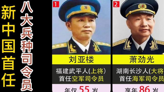 三大将军/-哔哩哔哩_bilibili