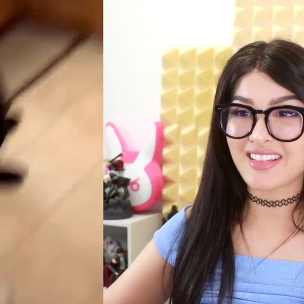 Sssniperwolf cute discount animals on tiktok