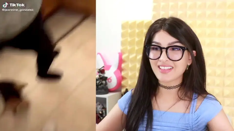 Sssniperwolf cute discount animals on tiktok