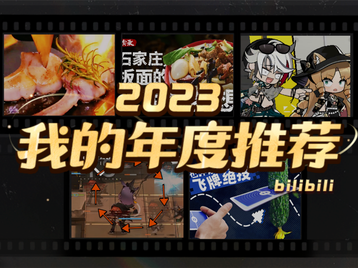 朔方寒光的2023年度推荐哔哩哔哩bilibili