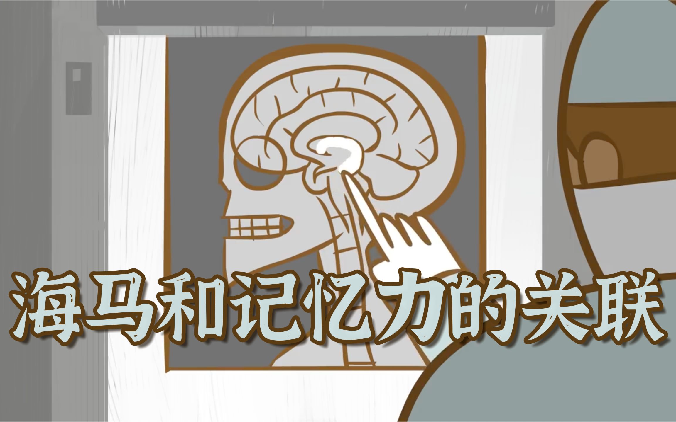 [图]TED双字｜让上百名心理学家废寝忘食半个世纪的奇迹--海马体 | 海马体被移除后会发生什么｜中英字幕