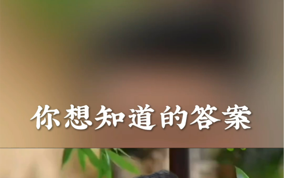 你想知道的答案