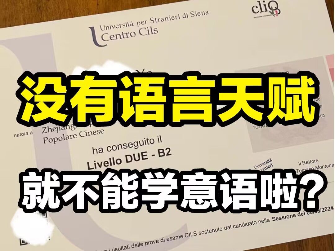 一个普通人的意大利语学习之路,谁说学意大利语一定要有语言天赋?哔哩哔哩bilibili