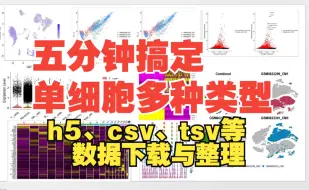 下载视频: 01.1（附代码）单细胞入门必看！10x、h5、csv、tsv多种单细胞类型数据下载与整理精讲