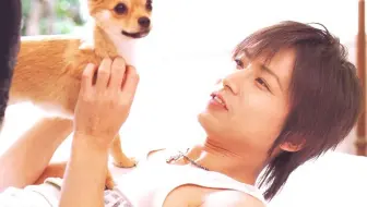 堂本刚和他的爱犬 哔哩哔哩 Bilibili