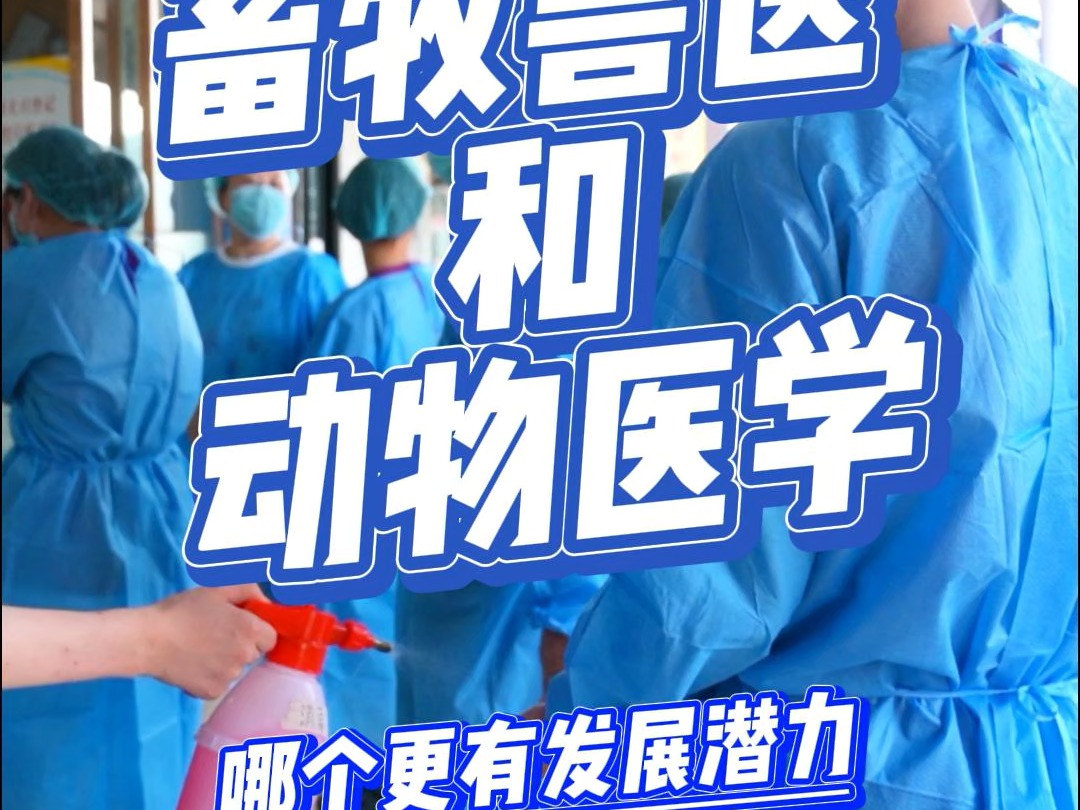 畜牧兽医和动物医学哪个更有发展前景呢??哔哩哔哩bilibili