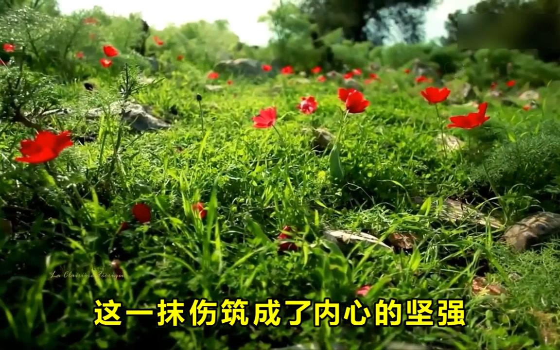 [图]孙露最新单曲《一抹伤》好听醉了，百听不厌!