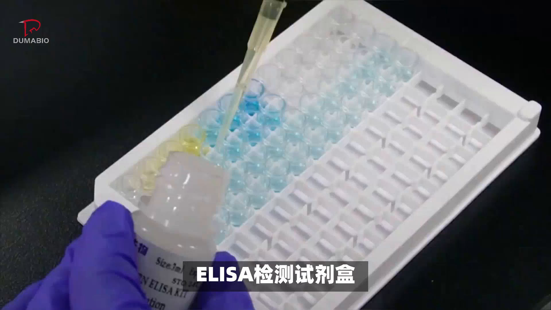 动物elisa检测试剂盒