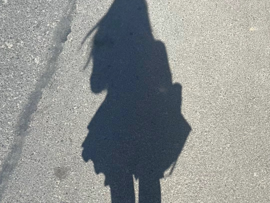 阳光下的影子好有动漫感