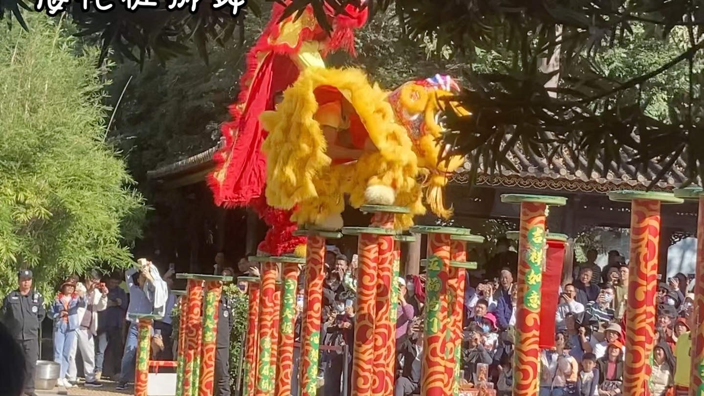 梅花桩舞狮,两只哦