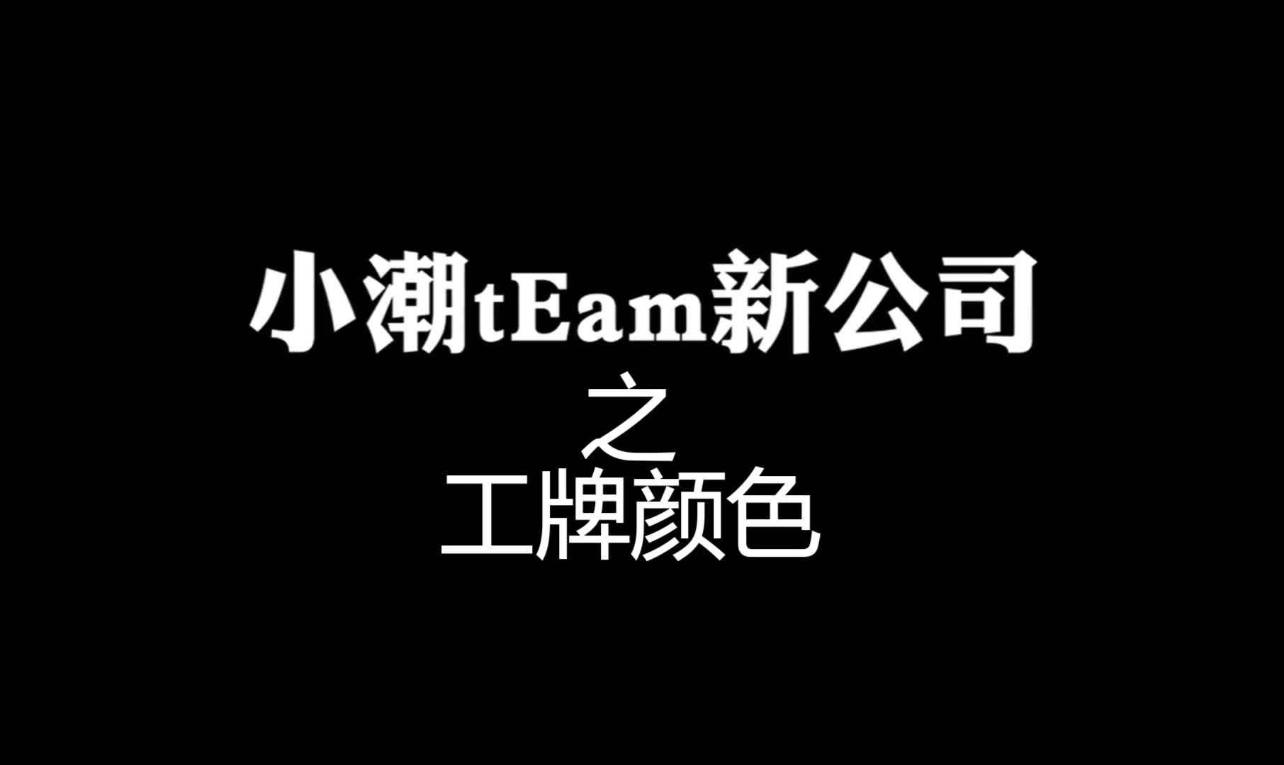 【小潮tEam】小潮tEam新公司之工牌颜色哔哩哔哩bilibili