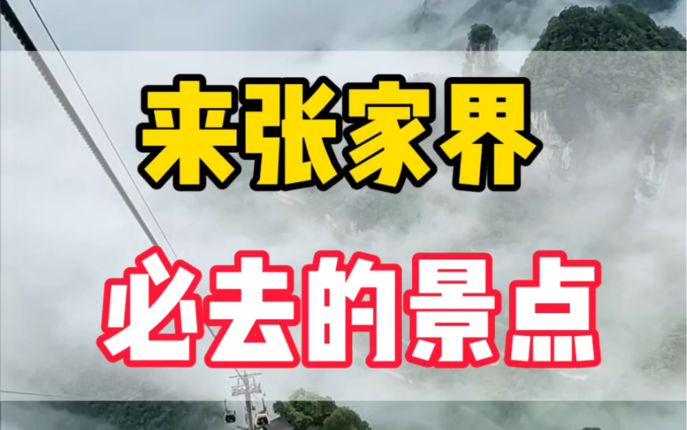 来张家界必去的景点,性价比超高的旅游攻略整理好了!张家界旅游真的没有你想的那么贵,赶紧出发吧#张家界旅游攻略 #天门山 #旅行推荐官 #凤凰古城...