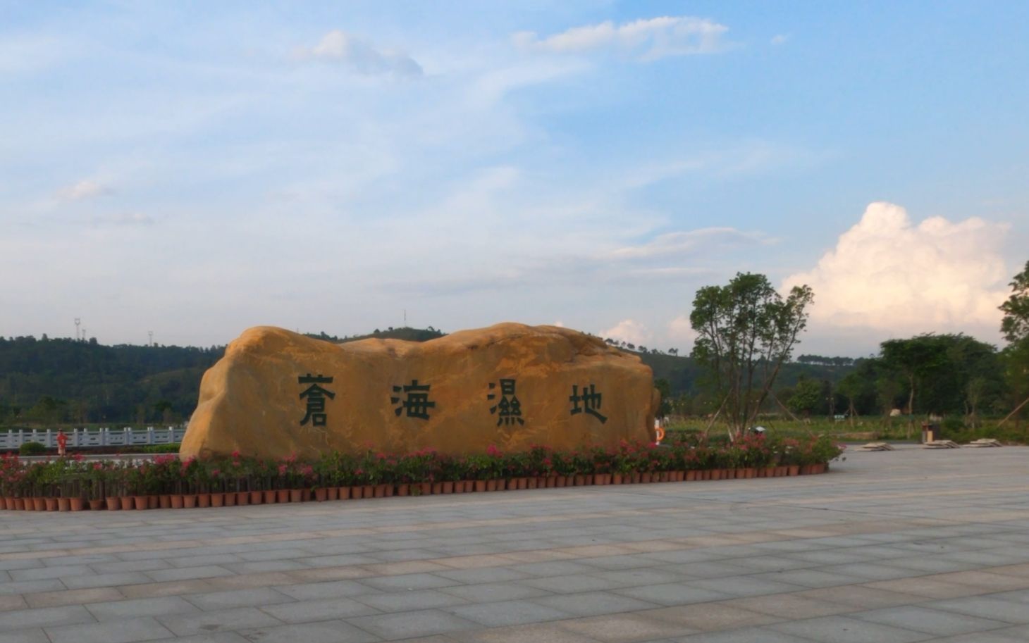 【4k】龙圩苍海湿地公园看风景and看日落