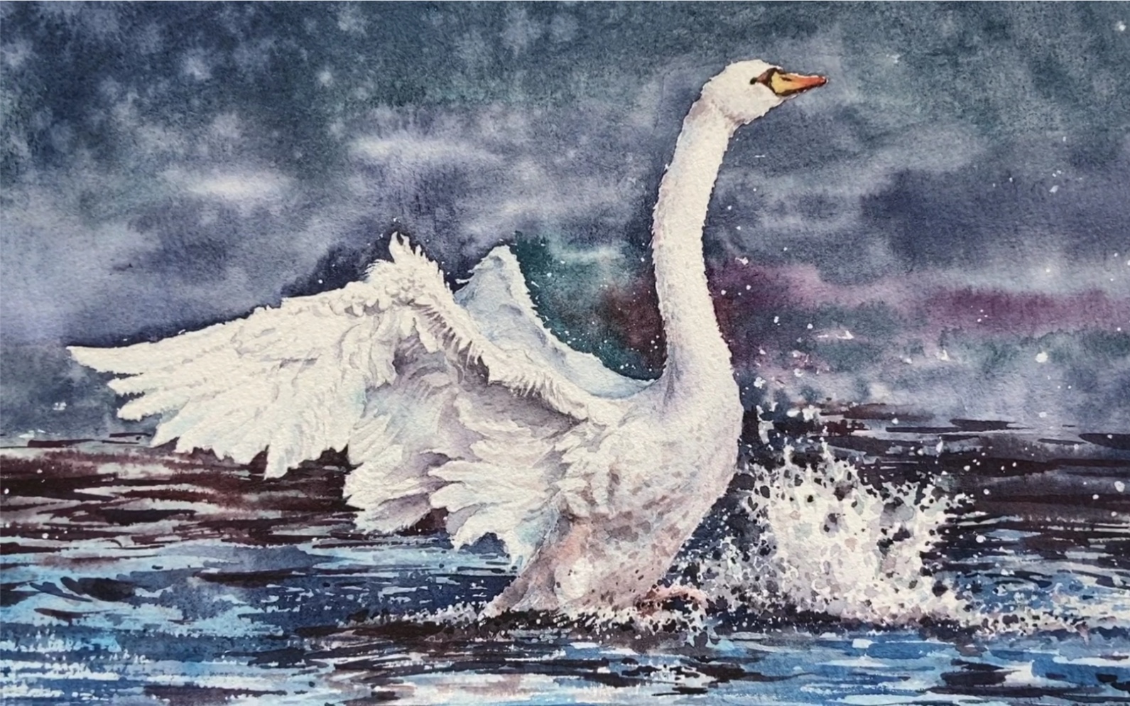 白天鹅水彩绘画