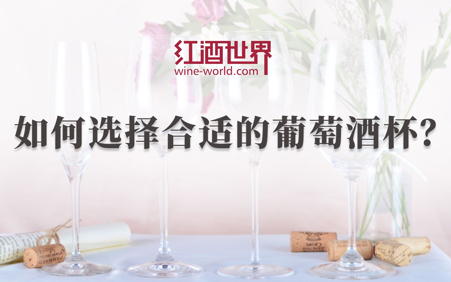 如何选择合适的葡萄酒杯?哔哩哔哩bilibili