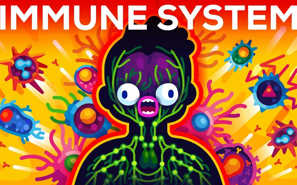 kurzgesagt——免疫系统的实际工作原理(一)免疫