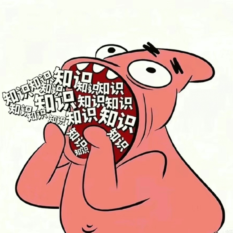 知识装进脑子里