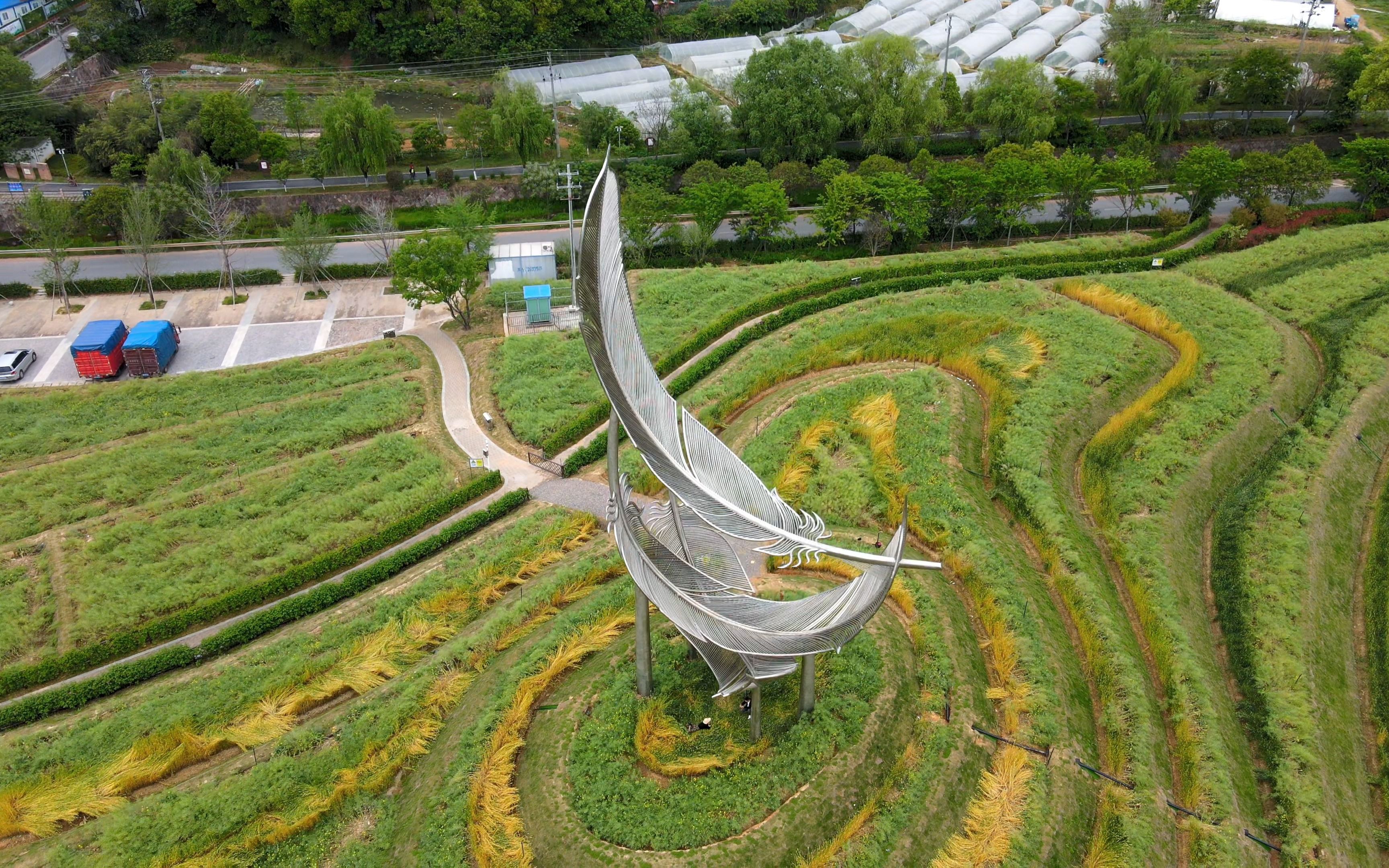 义乌三根鸡毛的故事多少人还记得