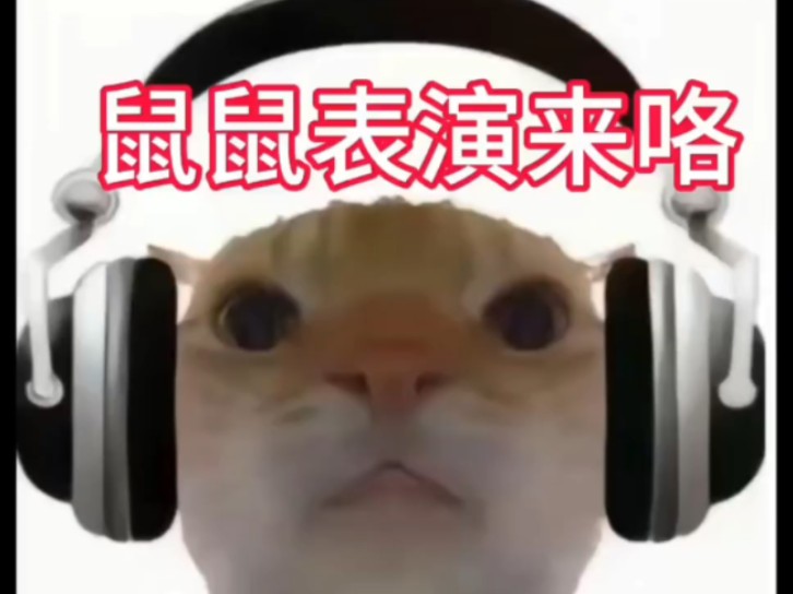 广西大师,表妹鼠鼠表锅来咯
