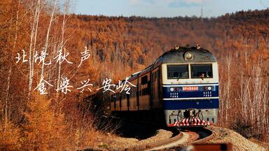 中国　山河　８分 THE NORTH FACE×CDG JUNYA WATANABE MAN 綿エステルラミネートWO