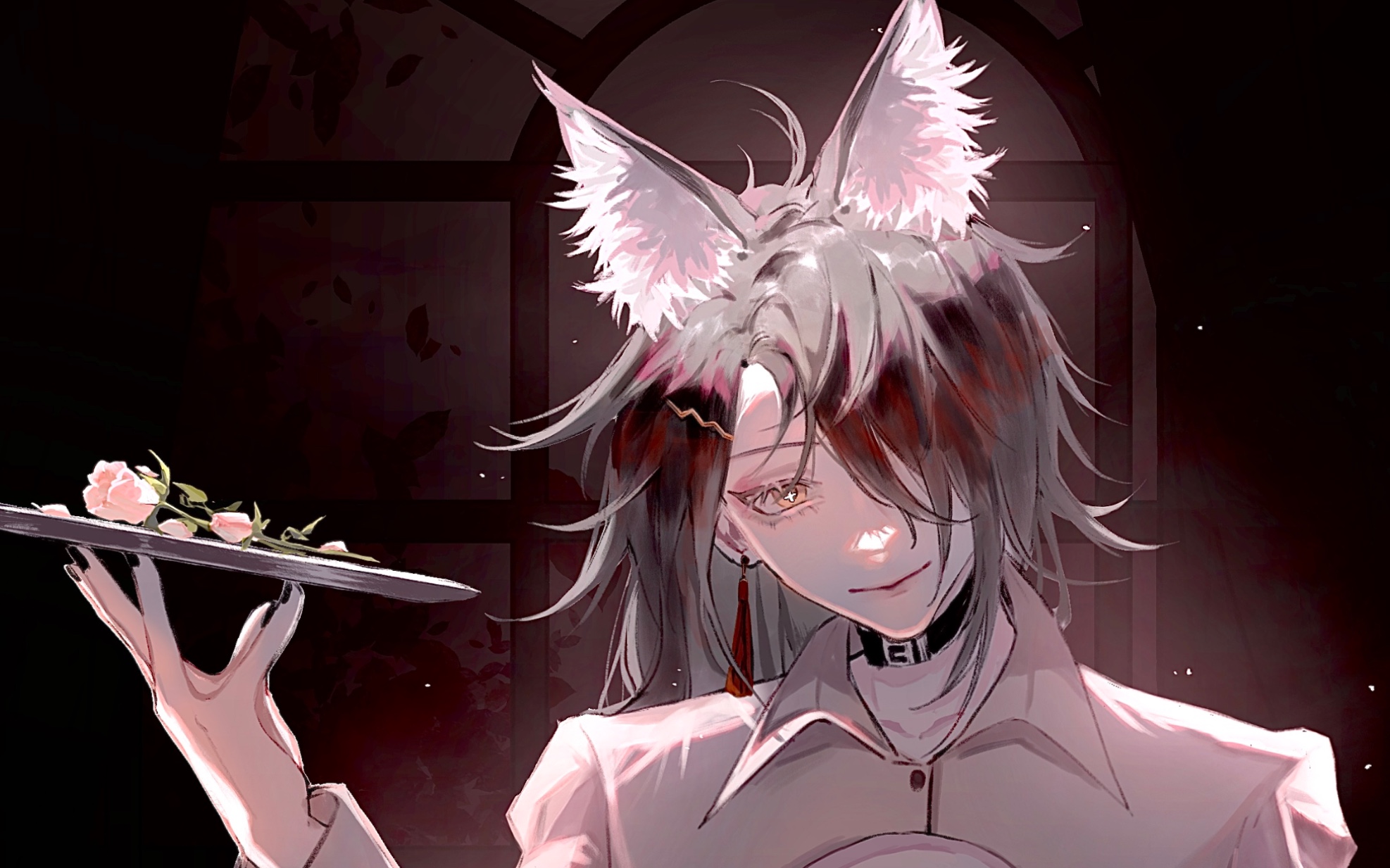 【procreate】缅因猫_哔哩哔哩_bilibili