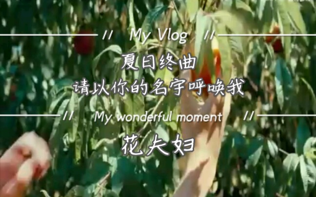 [图][aph]花夫妇的夏日终曲，请以你的名字呼唤我——Please call me by name. (极度生草)，ps.关于字幕名字问题简介有说。