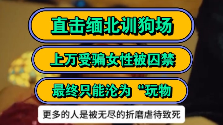 [图]直击缅北训狗场，上万受骗女性被囚禁，最终只能沦为“玩物！