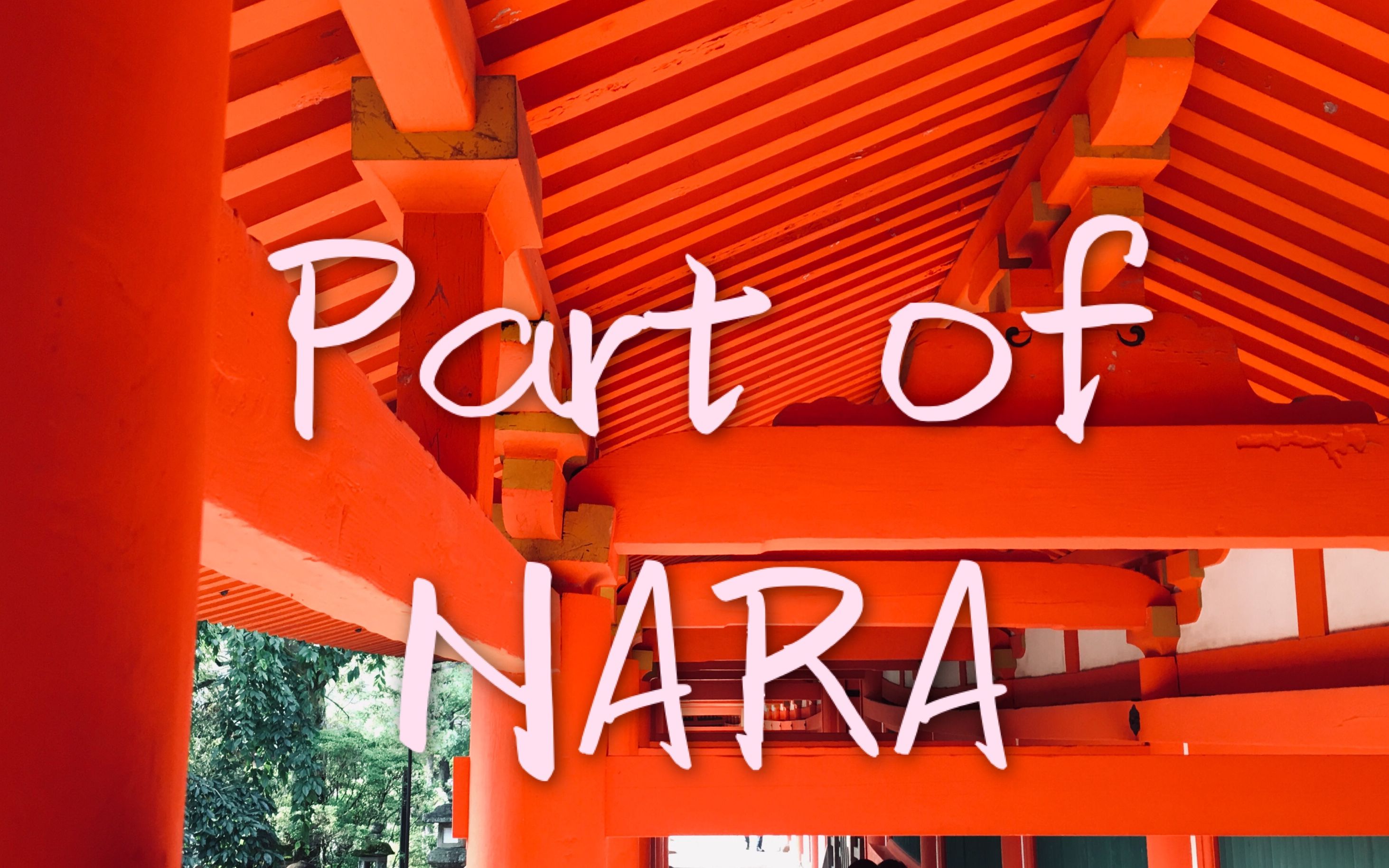 微log part of nara(奈良)