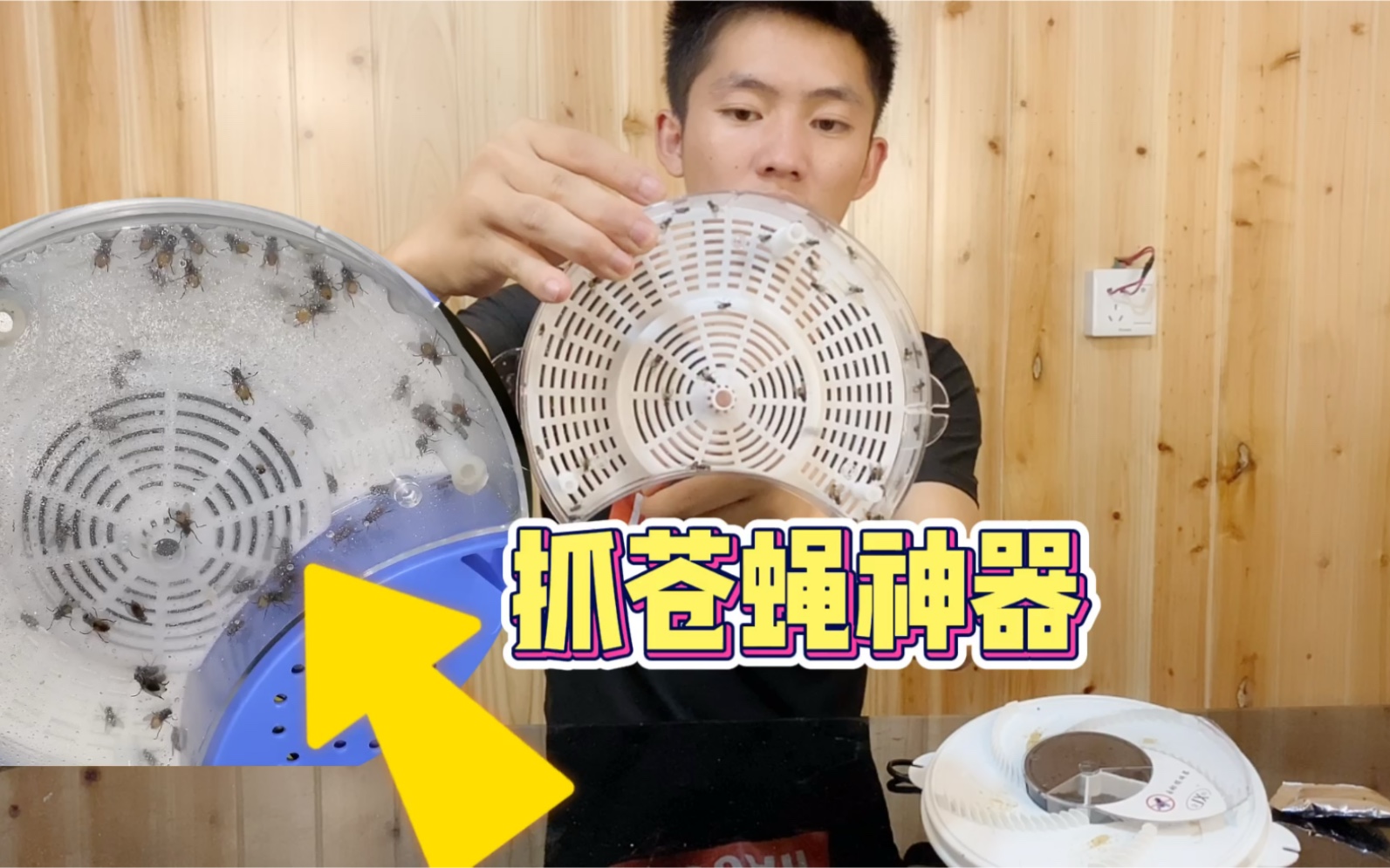 分享一个抓苍蝇神器,非常的好用,最后看看这些苍蝇怎么死的