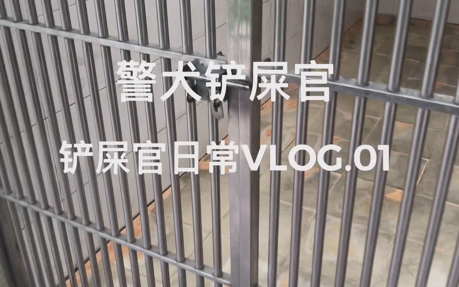 铲屎官日常VLOG.01 警犬德玛哔哩哔哩bilibili