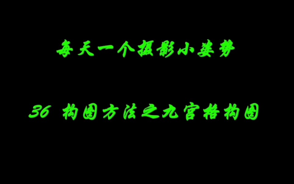 手机和相机内置的参考线你知道怎么用吗哔哩哔哩bilibili