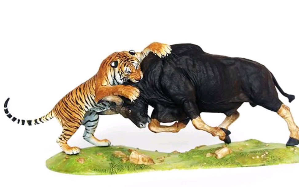 孟加拉虎捕猎白肢野牛_哔哩哔哩_bilibili