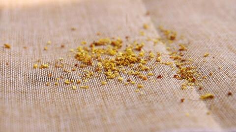 桂花茶的功效与禁忌 哔哩哔哩