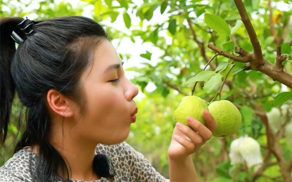 这到底叫番桃还是叫芭乐呢?哔哩哔哩bilibili