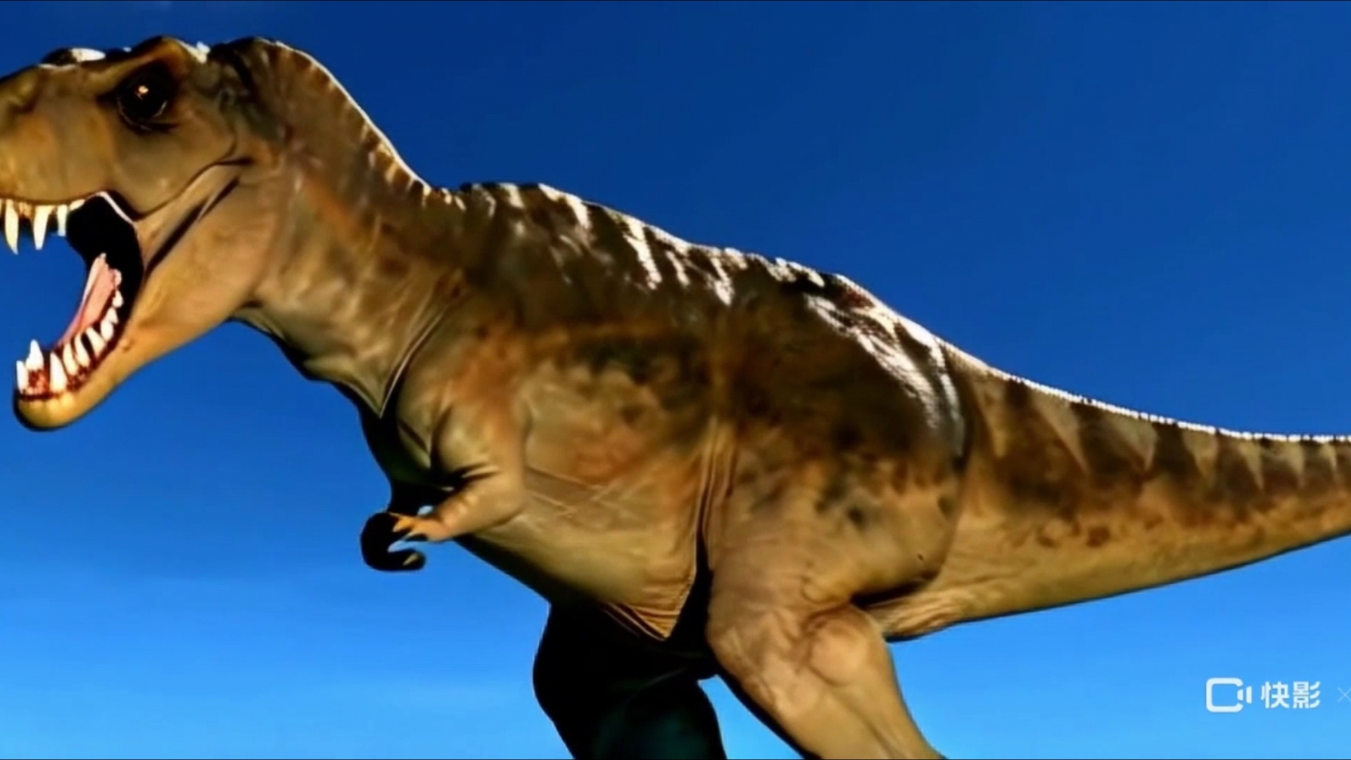 【可灵ai】:霸王龙大个子回来了