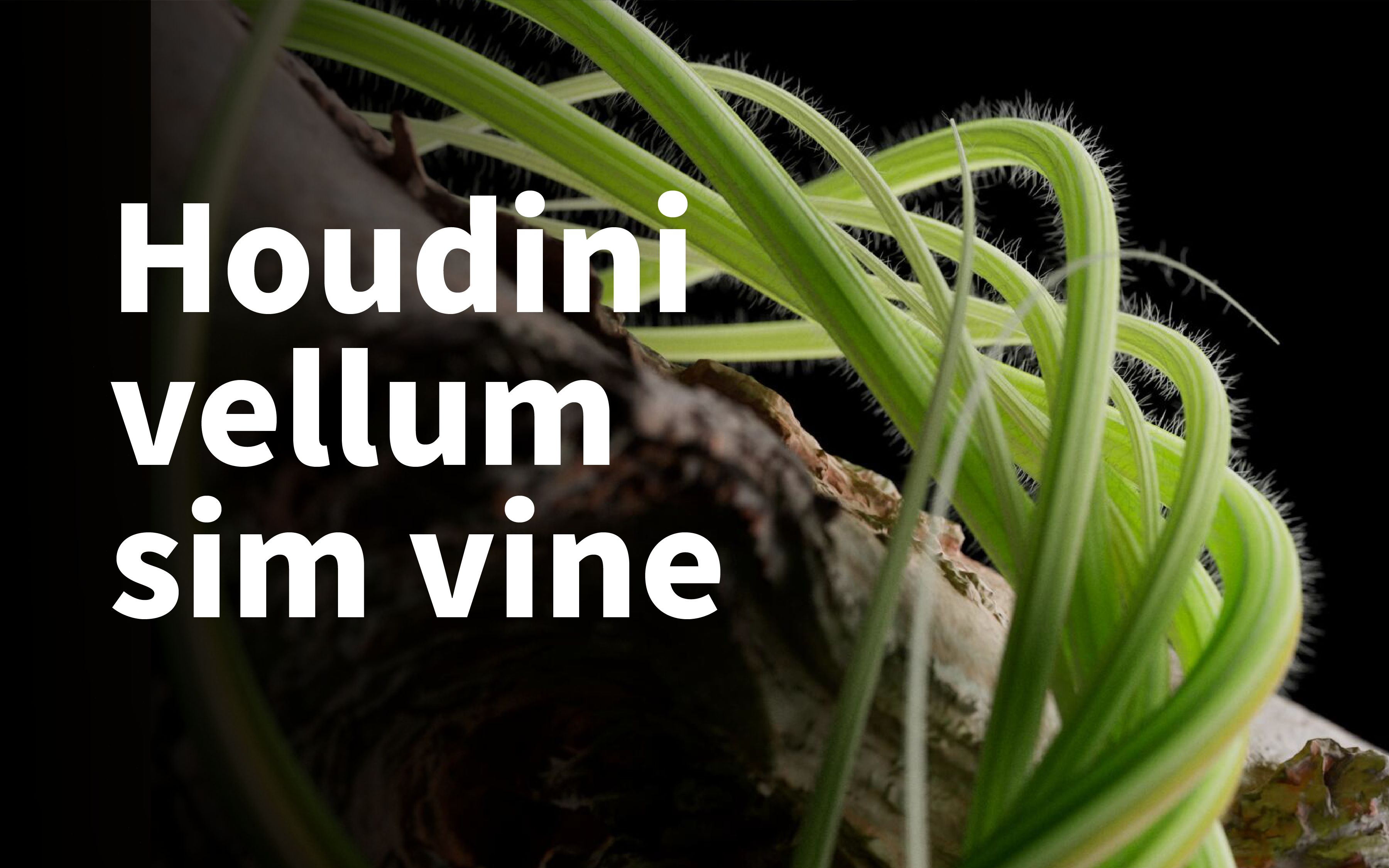 【houdini藤曼】 在houdini中使用vellum 模拟藤曼