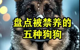 Download Video: 盘点五种被禁养的狗狗