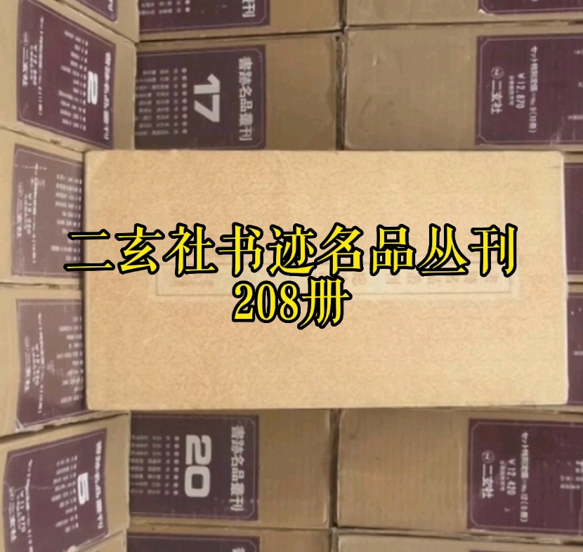 [图]二玄社书迹名品丛刊208册