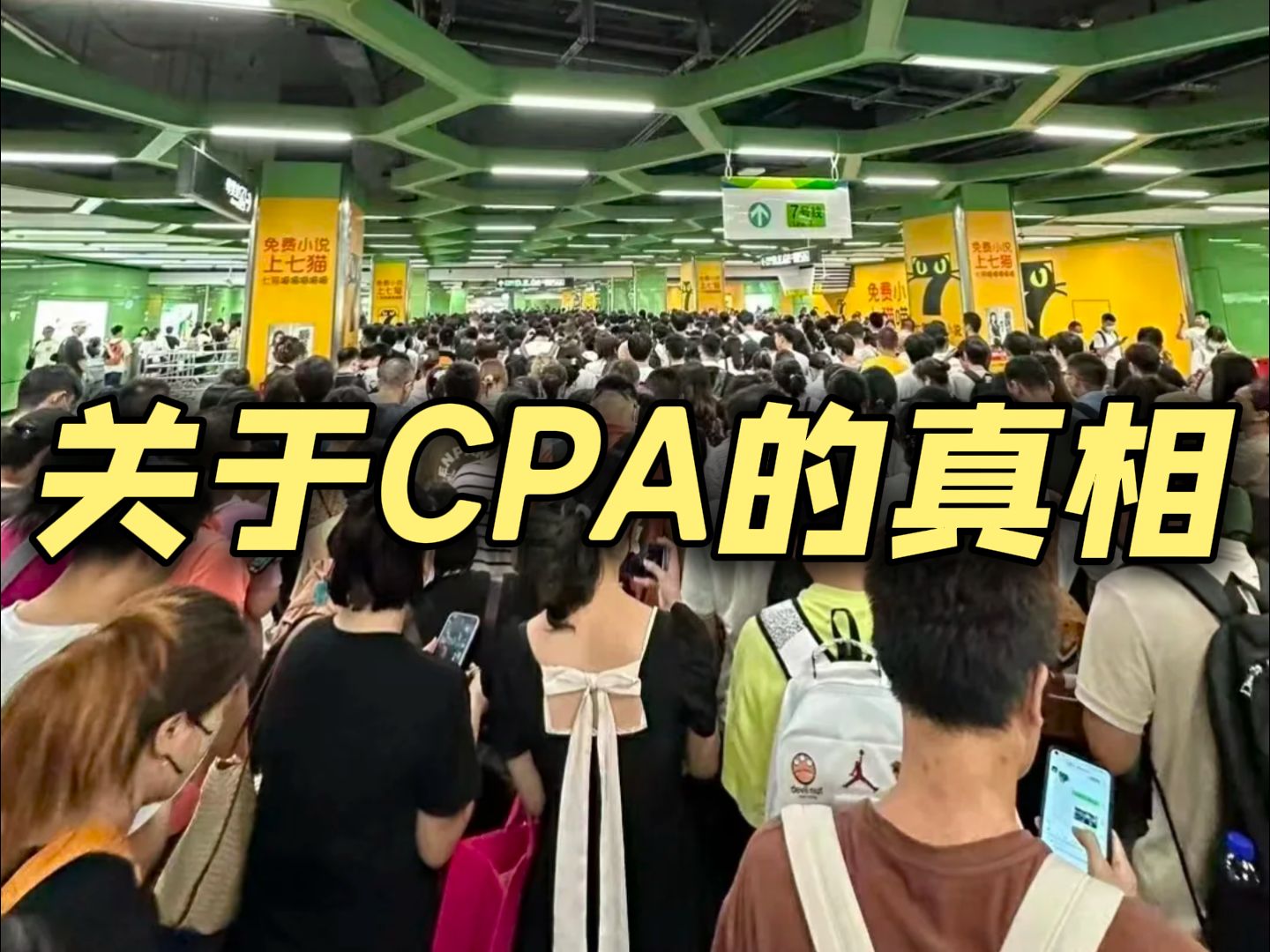 让我告诉你CPA真实的样子……考上CPA也不要期望太高!哔哩哔哩bilibili