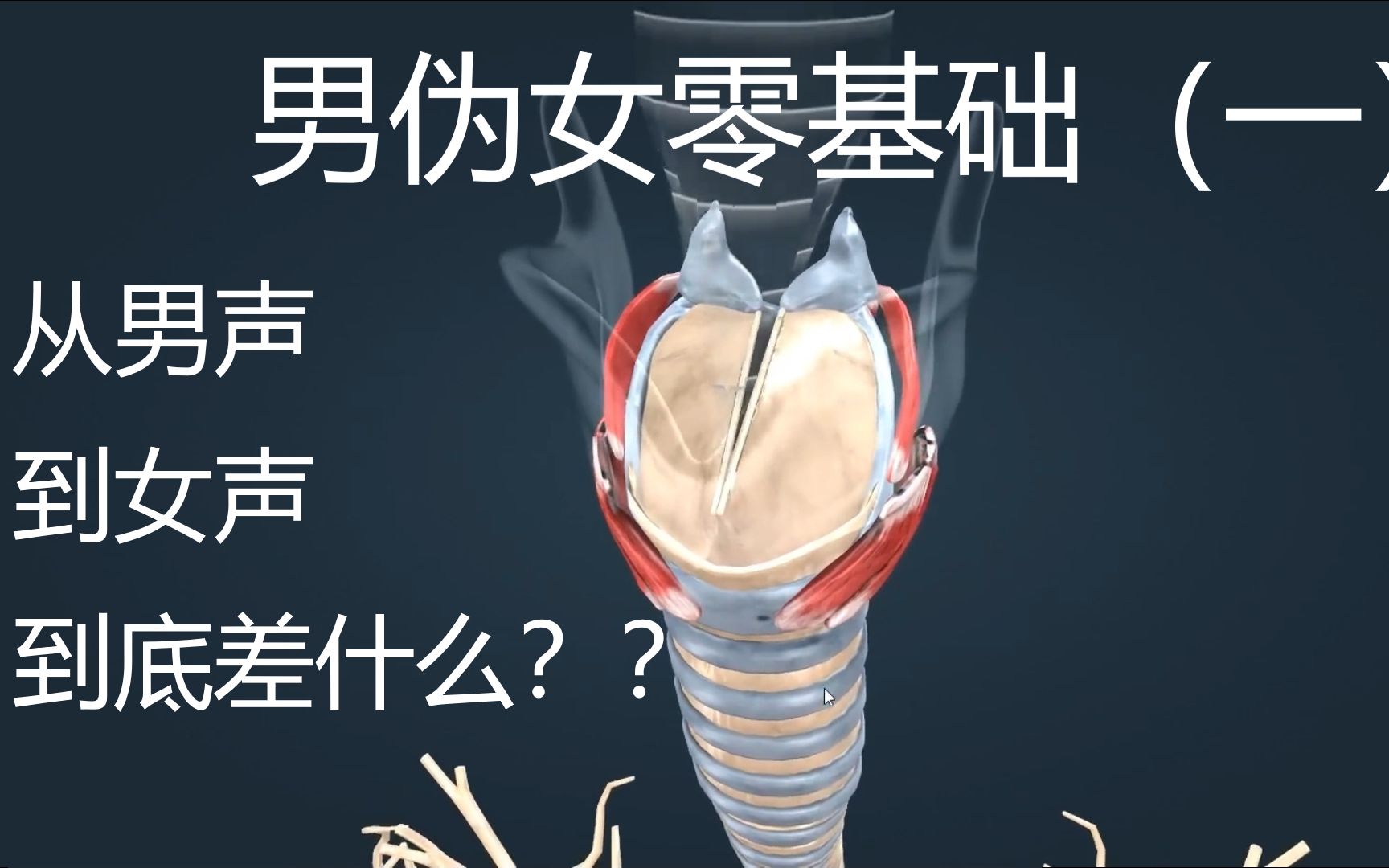 【男伪女】从认识到运用伪音,拥有自己独特的伪女声(一)